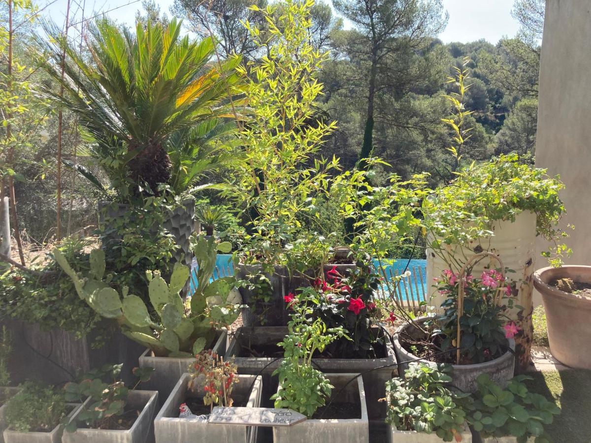 Maison Ensoleillee Au Milieu Des Pins Entre Et Cassis *