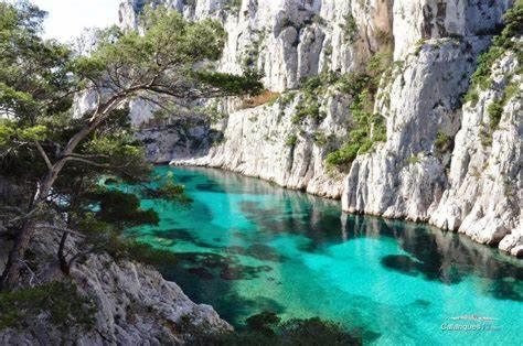 Villa Maison Ensoleillee Au Milieu Des Pins Entre Et Cassis Marseille